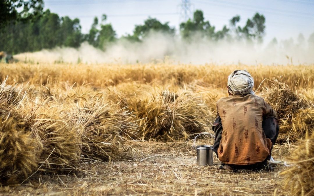 Los sistemas alimentarios deben construirse de forma inclusiva