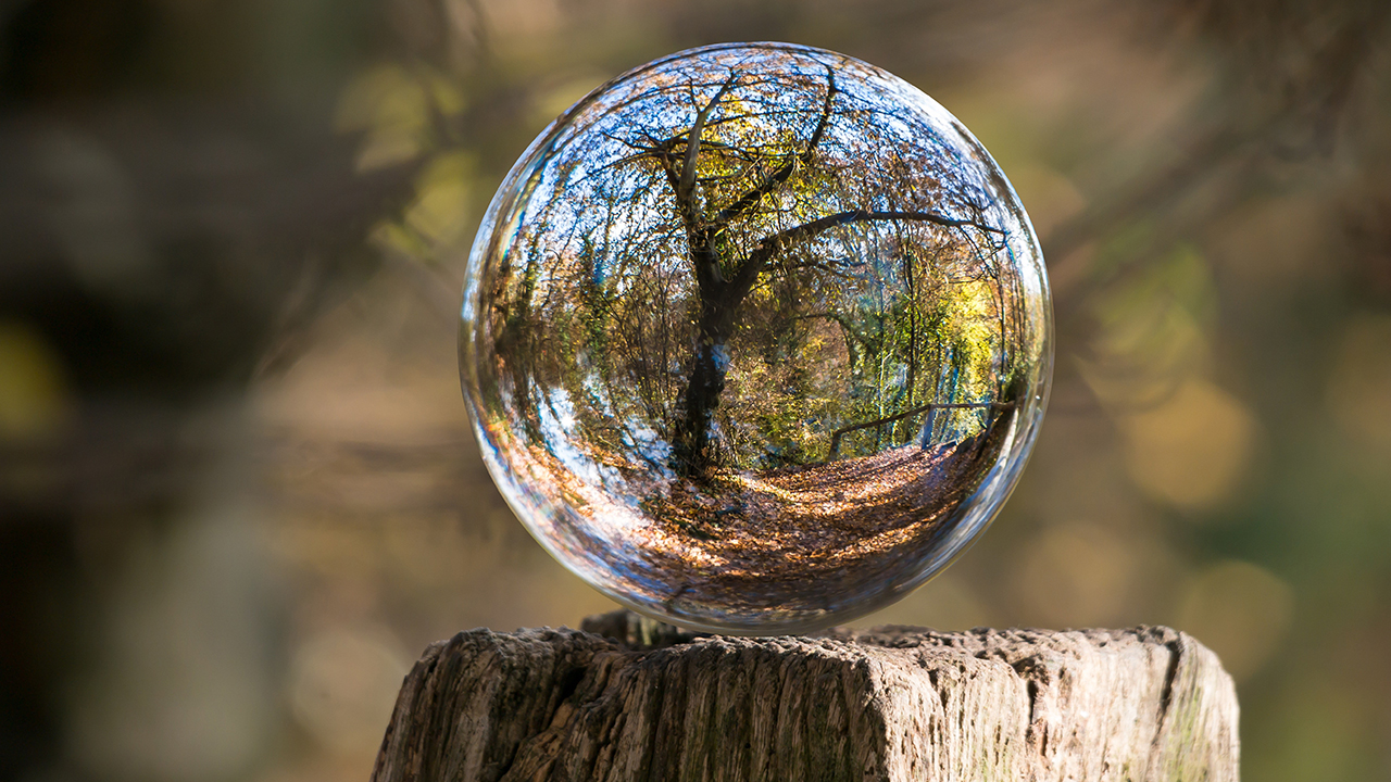 Bola de cristal y naturaleza
