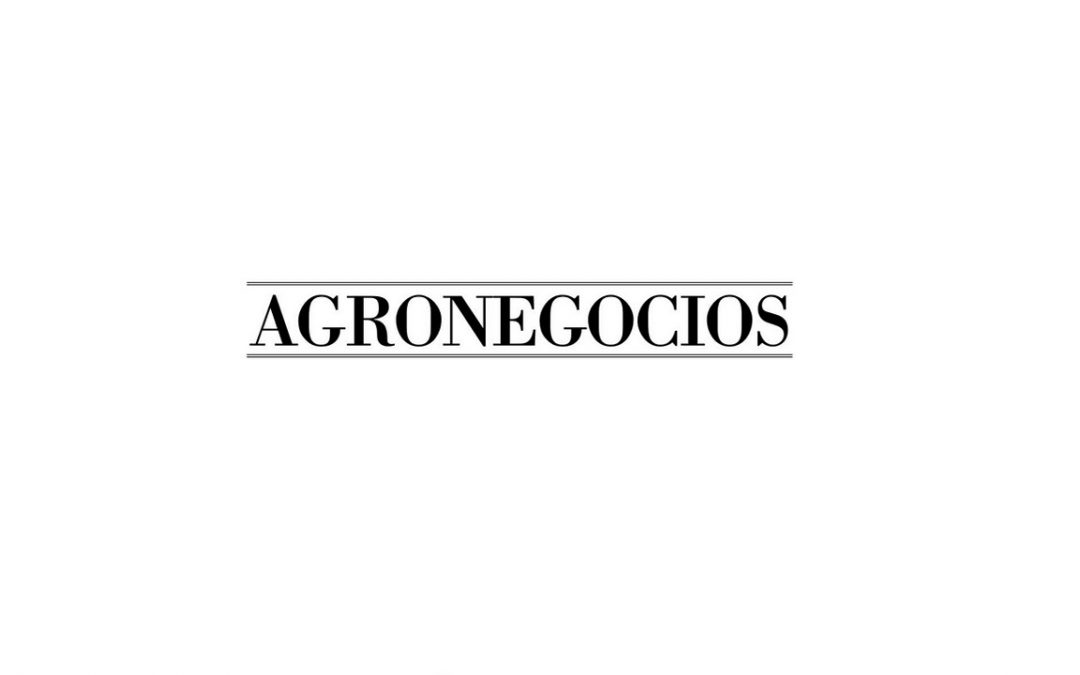 AlimentaODS en Agronegocios con motivo de la presentación del proyecto el 4 de junio