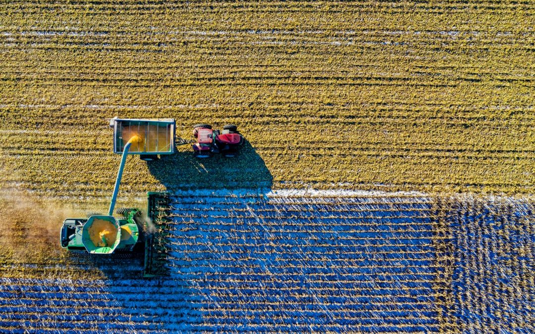 De la granja a la mesa, la estrategia alimentaria de la UE