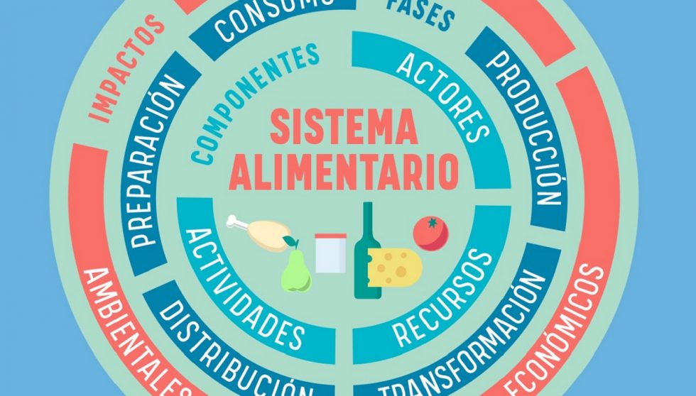 ¿qué Es Un Sistema Alimentario Sostenible Alimentaods Alimenta Odsemk 6863