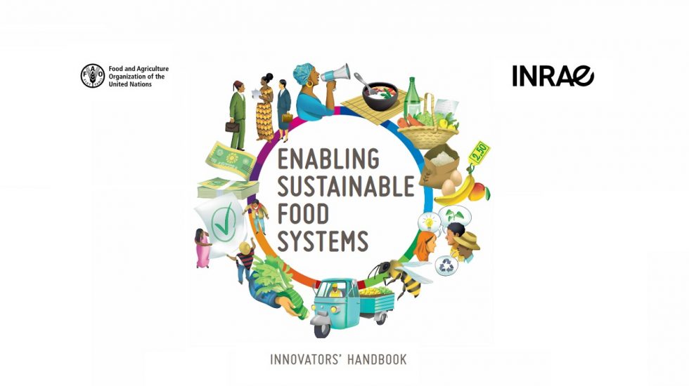 Un Manual Para Promover Sistemas Alimentarios Sostenibles Alimenta Ods 2006