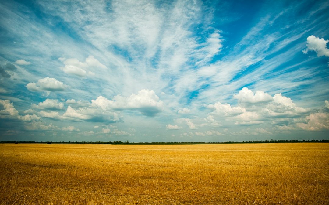 La huella de carbono de nuestro sistema alimentario