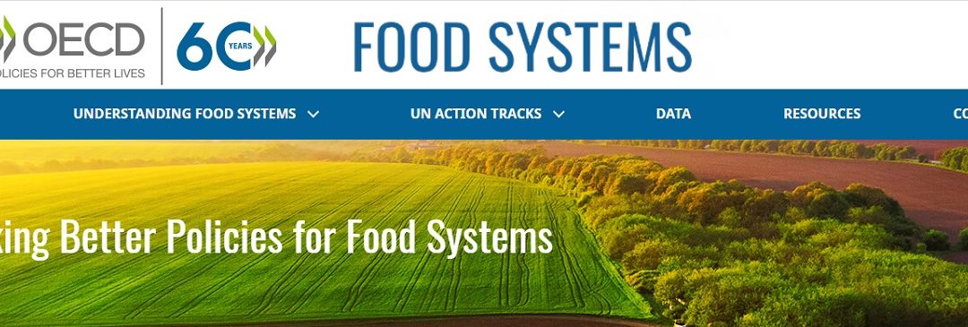 Hacia sistemas alimentarios sostenibles