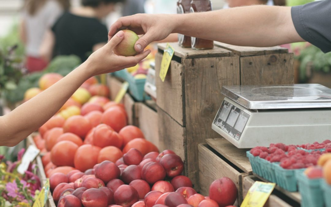 Hacia la Cumbre sobre Sistemas Alimentarios