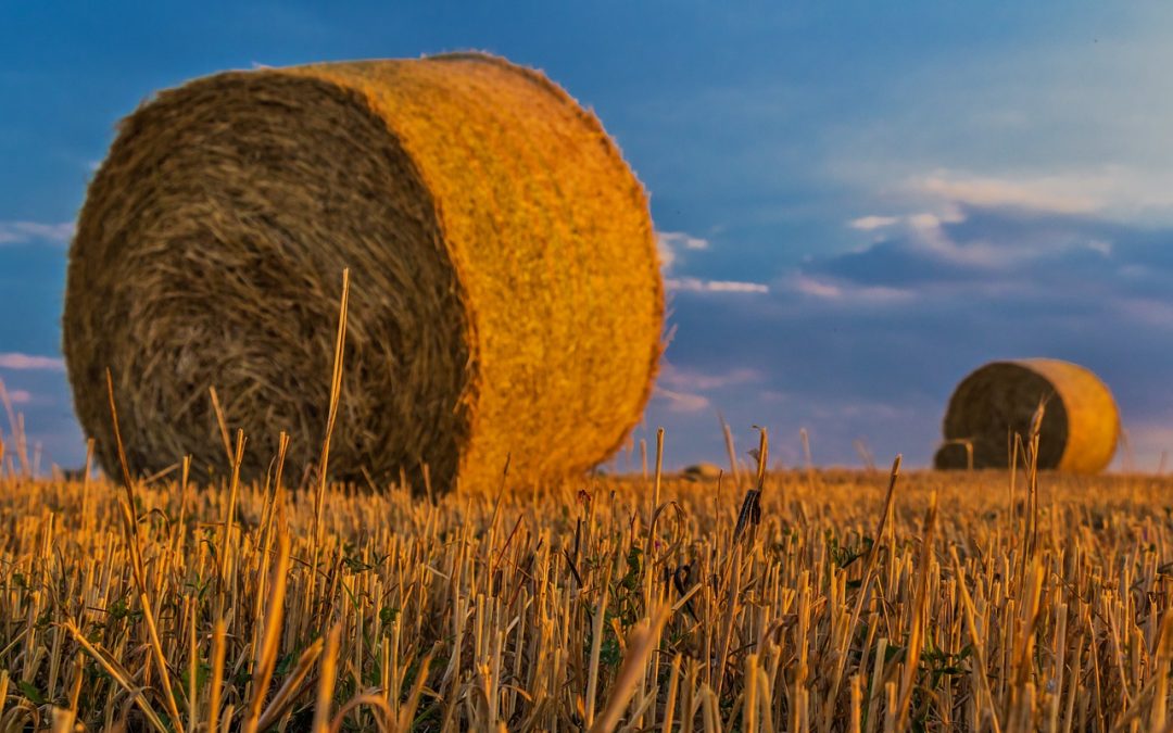 Una inversión responsable en la agricultura