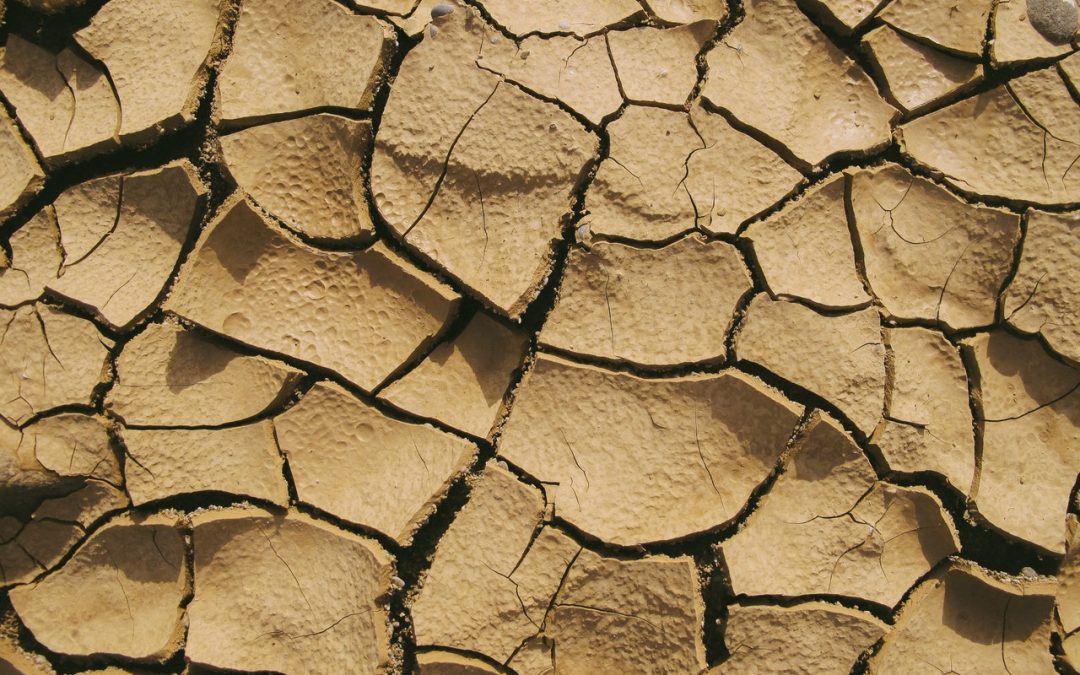 Cambio climático y salud