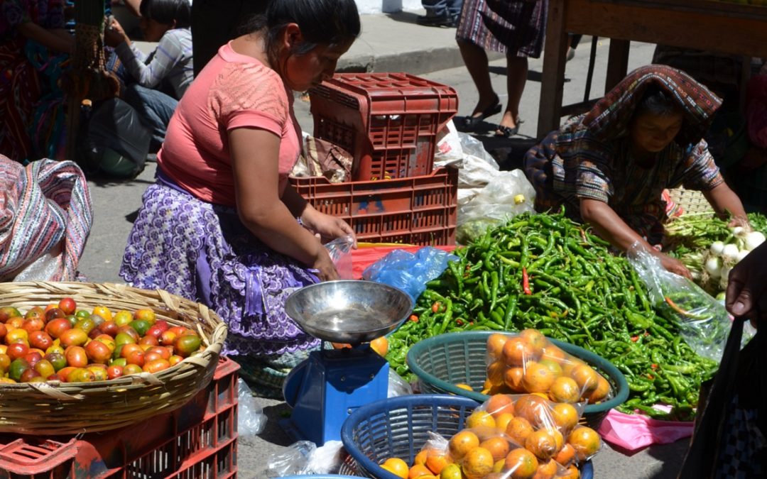 Compromiso con la transformación de los sistemas alimentarios