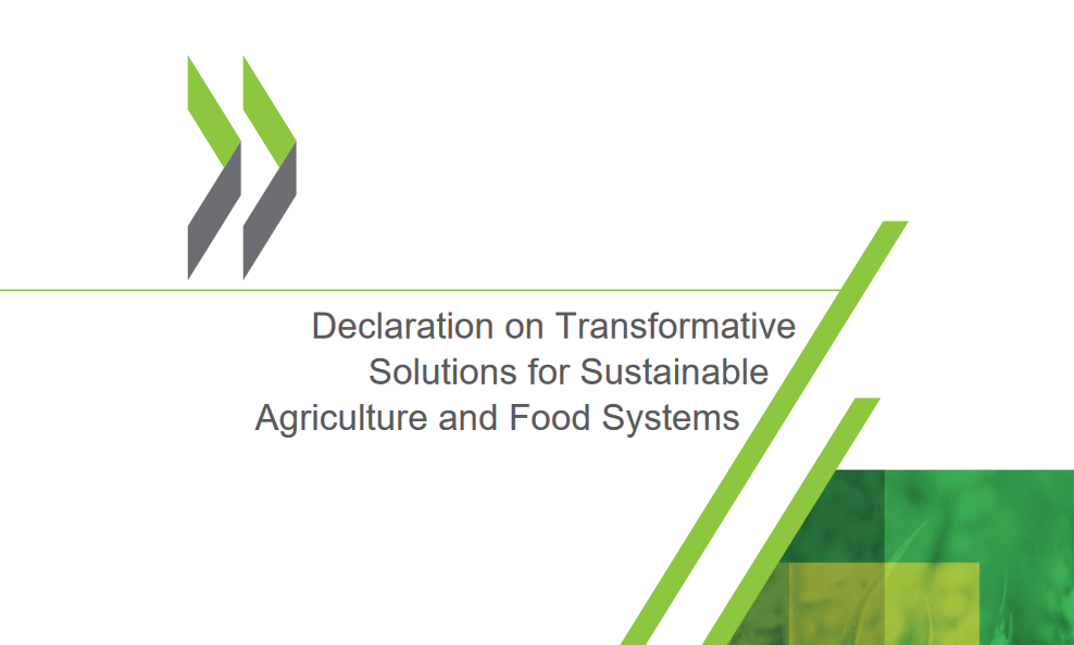 Soluciones transformadoras para la agricultura y los sistemas alimentarios sostenibles
